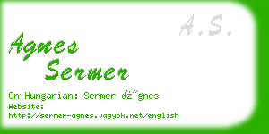 agnes sermer business card